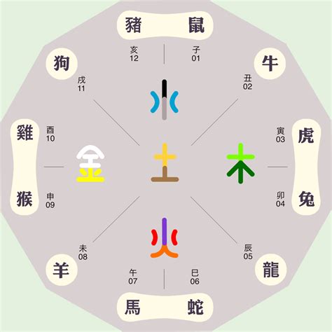 生肖 五行屬性|十二生肖五行属性对照表，古人的智慧，值得品读和借鉴！